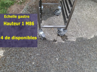 /album/echelle-gastro-20-niveaux-ref-ec-05-prix-110eur00-piece/01-jpg/