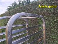 /album/echelle-gastro-20-niveaux-ref-ec-05-prix-110eur00-piece/03-jpg/